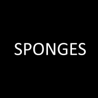 SpongyBacon