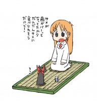 t0206
