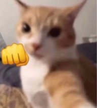 PurrfectMistake_