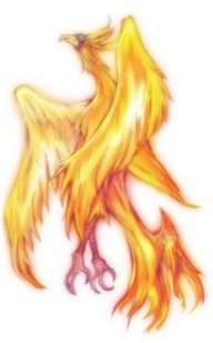 Bonhofenix