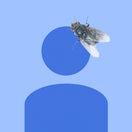 avighnash