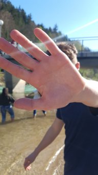 plapi