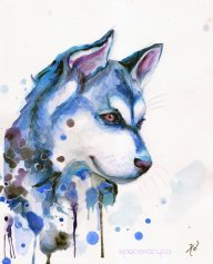Husky