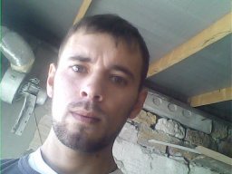 eneeseene