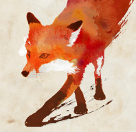 Foxing_