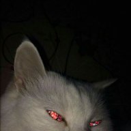 Kyrix