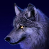 xwolfyxNL