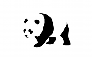 ThePandaPlayer
