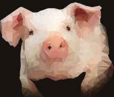 PiggyPiglet