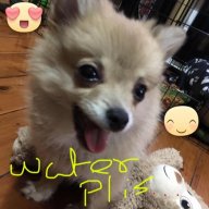 ThePheonixGod
