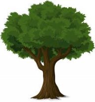 Tree_Trunks1234