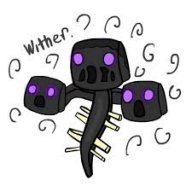 CM_Cam