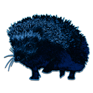 ColonelHedgehog