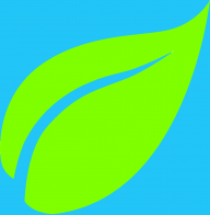 Leaf26