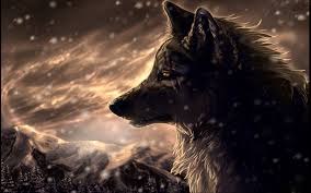 WolfyBoy26