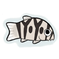 acroblitz
