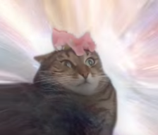 MedetYldrk