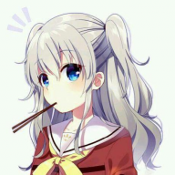brs73