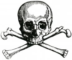 CptCrossbones