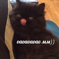 CharliesNoob
