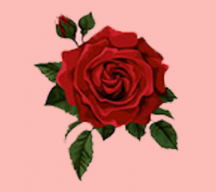 ByDominicBlon