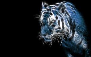 Tigeax