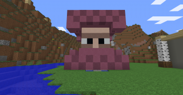 RDster