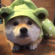pugTpho