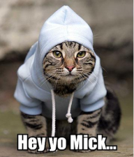 mickverm