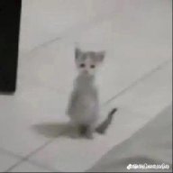 Kaiz3r