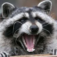 Rocket4Raccoon