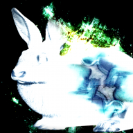 Rabbit_Hunter
