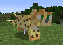 steve4744