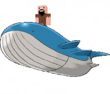 wailord2