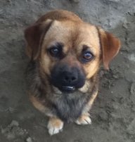 Carlos083