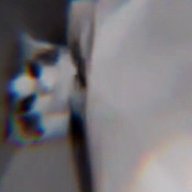 bs_xiaohan