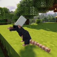 DeleteMetaInf