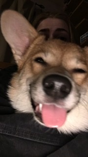 thejaxx5