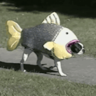 Rewtie