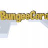 BungeeStaffSlapped