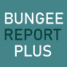 BungeeReportPlus