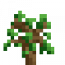 NaturalSaplings