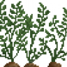 Realistic Plants