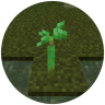 Self Planting Saplings