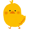 DuckySkript