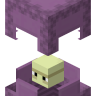 HotShulker