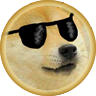 Doge Chat