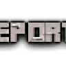Report | SKRIPT | 1.8 - 1.9 |
