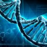 Advanced Genetics