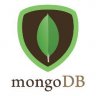 MongoDB API for Minecraft